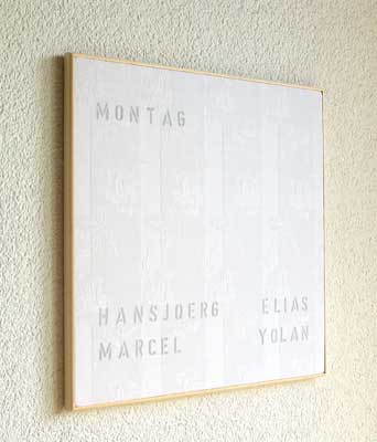 Eintagsfliegen